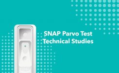 SNAP Parvo Test Technical Studies