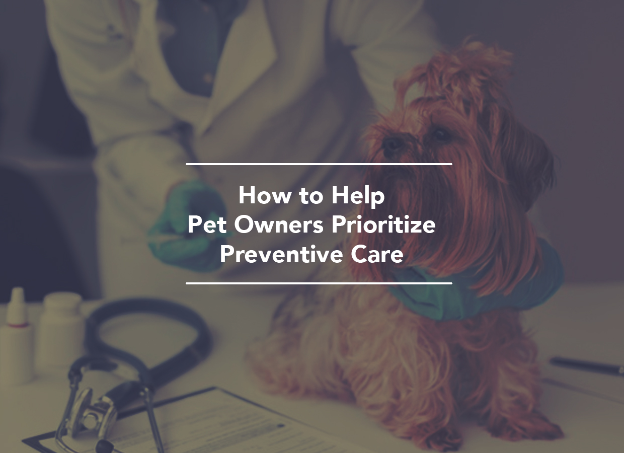 How To Help Pet Owners Prioritize Preventive Care