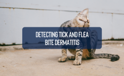 Detecting Tick and Flea Bite Dermatitis