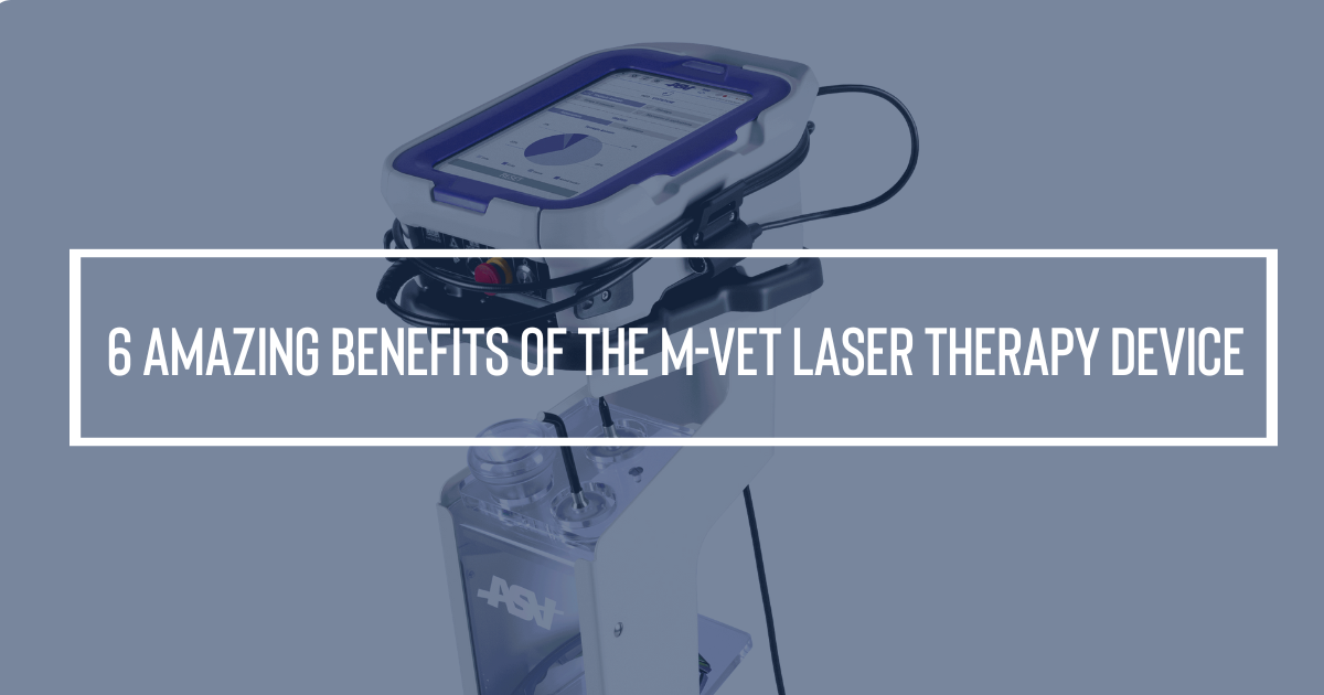 6 Amazing Benefits of the MVET Laser Therapy Device