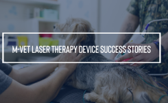 M-VET Laser Therapy Device Success Stories